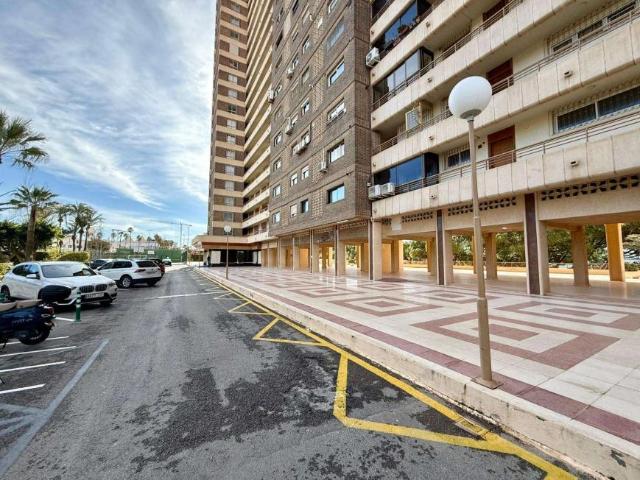 2 Dormitorio Apartamentos Alicante Alicante 98960288
