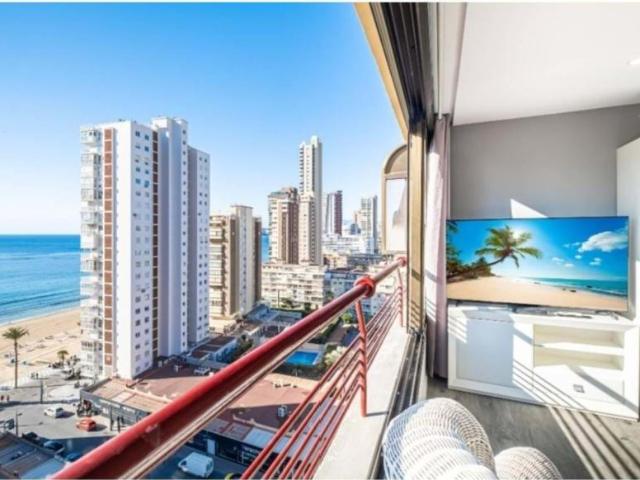 2 Dormitorio Apartamentos Alicante Communidad Valencia 101376638
