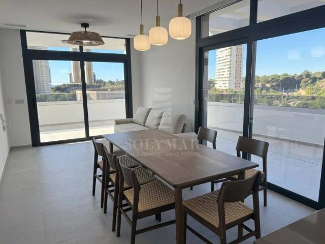 2 Dormitorio Apartamentos Alicante Communidad Valencia 101919963