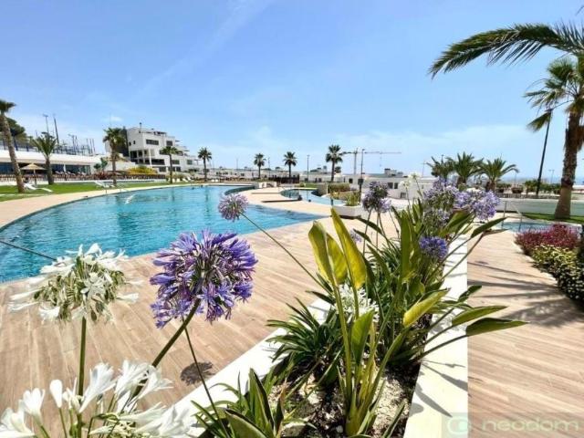 2 Dormitorio Apartamentos Alicante Communidad Valencia 92875298