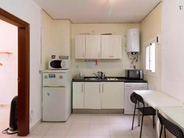 2 Dormitorio Apartamentos Barcelona Barcelona 105023022