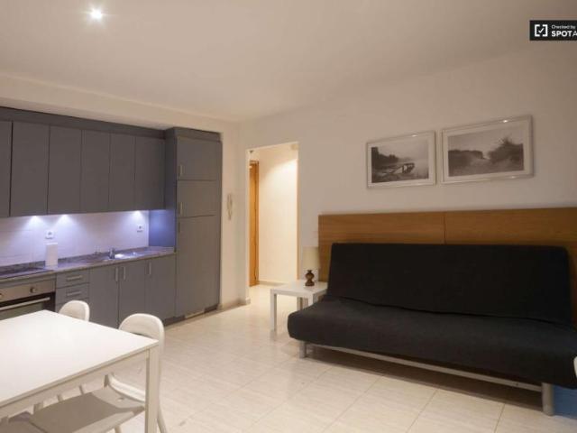 2 Dormitorio Apartamentos Barcelona Barcelona 101771361