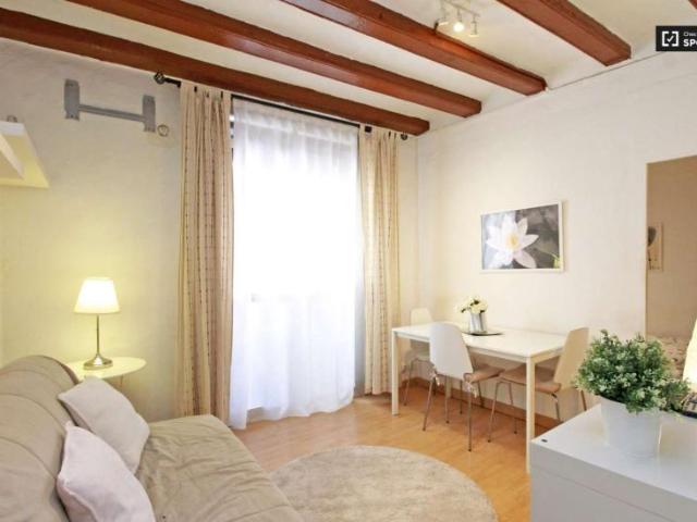 2 Dormitorio Apartamentos Barcelona Barcelona 101805650