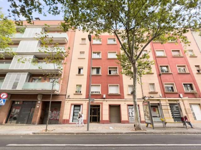 2 Dormitorio Apartamentos Barcelona Barcelona 93879025