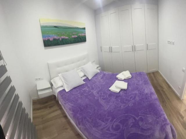 2 Dormitorio Apartamentos Barcelona Barcelona 99239084