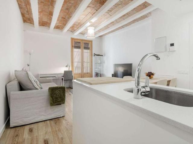 2 Dormitorio Apartamentos Barcelona Barcelona LS101809080