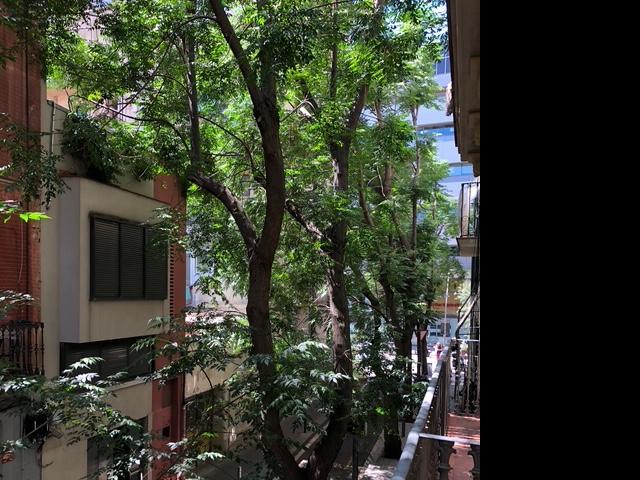 2 Dormitorio Apartamentos BARCELONA CATALUÑA 91711587