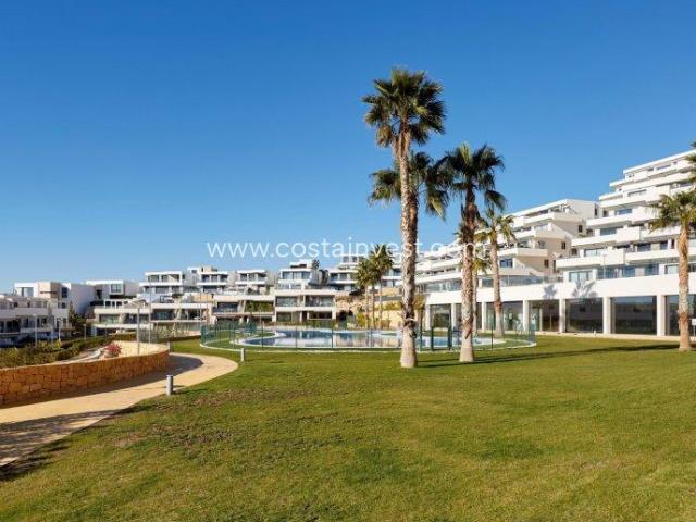 2 Dormitorio Apartamentos Benidorm Costa Blanca 77082316
