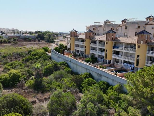 2 Dormitorio Apartamentos Cabo Roig Alicante 98346593