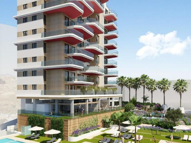 2 Dormitorio Apartamentos Calpe Calpe 80312594