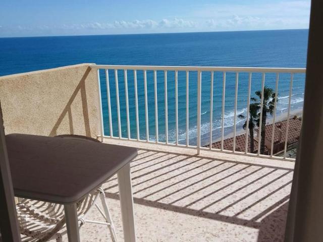 2 Dormitorio Apartamentos Dehesa De Campoamor Dehesa De Campoamor 100671872