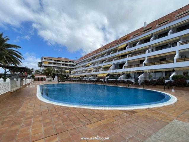 2 Dormitorio Apartamentos El Varadero El Varadero 103061317