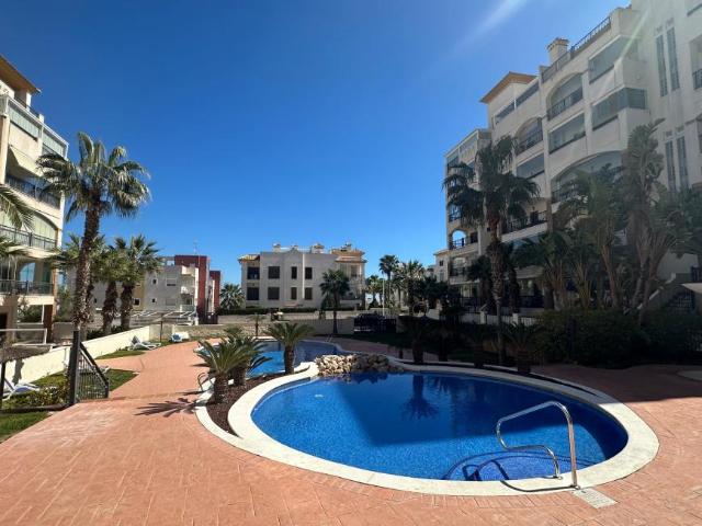 2 Dormitorio Apartamentos Guardamar Del Segura Alicante 100382566