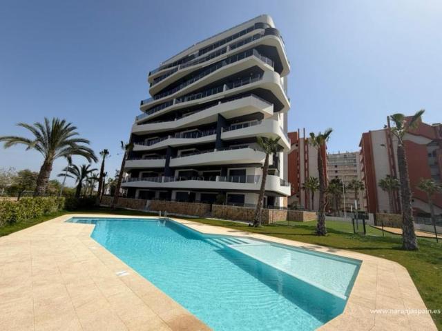 2 Dormitorio Apartamentos Guardamar Del Segura Alicante 101202535