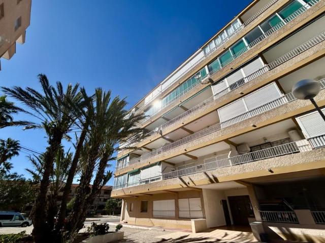 2 Dormitorio Apartamentos GUARDAMAR DEL SEGURA ALICANTE 102884026