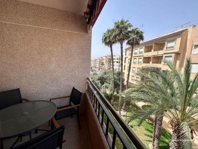 2 Dormitorio Apartamentos Guardamar Del Segura Alicante 91516318