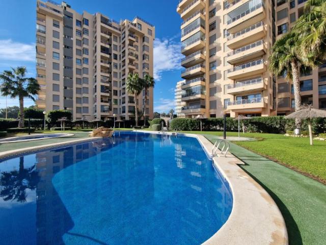2 Dormitorio Apartamentos Guardamar Del Segura Costa Blanca LS96842822