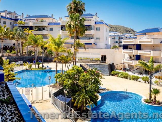 2 Dormitorio Apartamentos Los Cristianos Tenerife 102658739