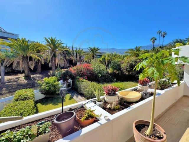 2 Dormitorio Apartamentos Puerto De La Cruz Puerto De La Cruz LS94353424