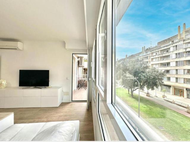 2 Dormitorio Apartamentos Palma Palma 102630079