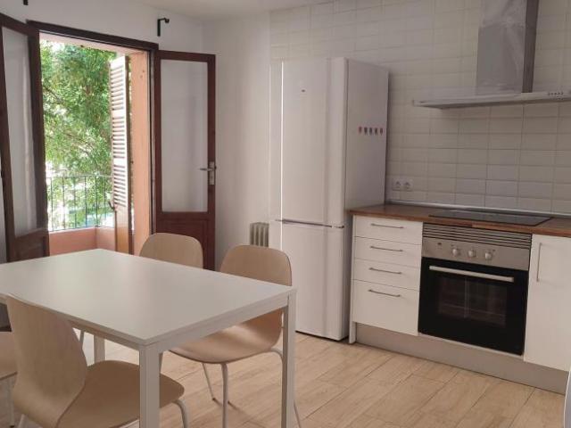2 Dormitorio Apartamentos Palma Palma 103654949