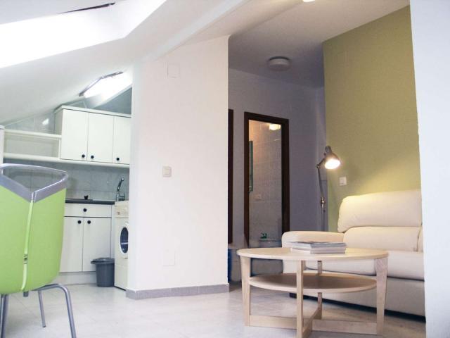 2 Dormitorio Apartamentos Salamanca Salamanca 88035146