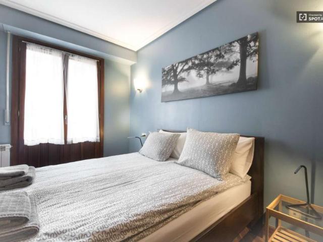 2 Dormitorio Apartamentos San Sebastian San Sebastian 96385083