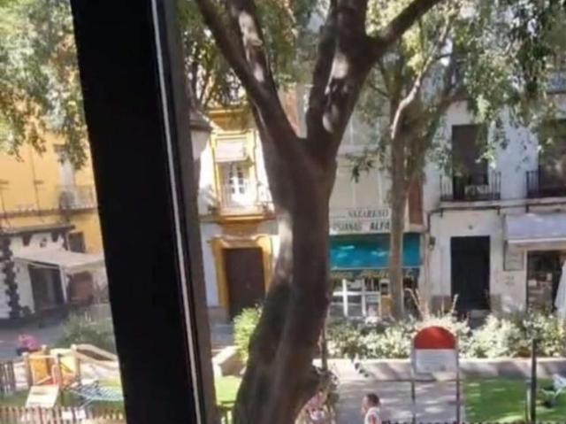 2 Dormitorio Apartamentos Seville Seville 92790267