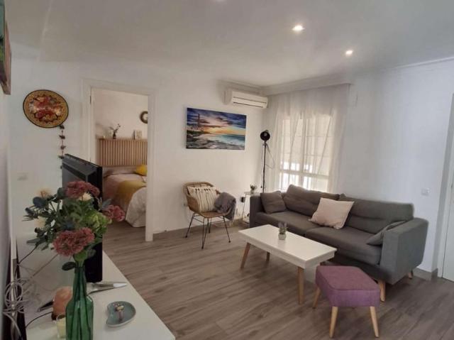 2 Dormitorio Apartamentos Seville Seville 101765428