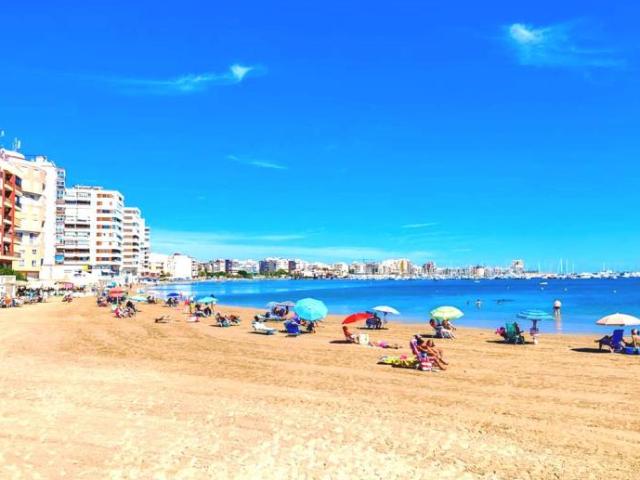 2 Dormitorio Apartamentos Torrevieja Alicante 97508976