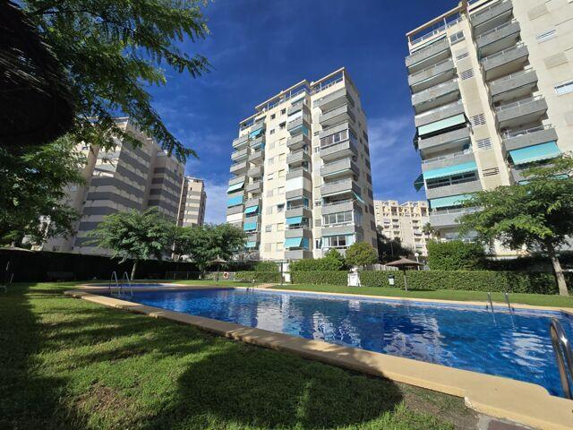 2 Dormitorio Apartamentos Valencia Valencia LS98232572