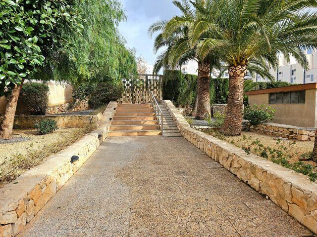2 Dormitorio Apartamentos Valencia Valencia LS98232703
