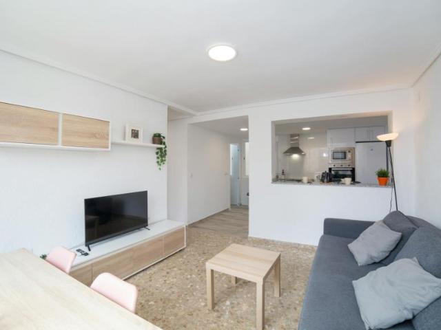 2 Dormitorio Apartamentos Valencia Valencia 102400046