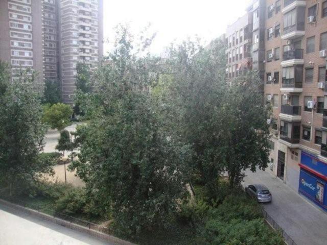 2 Dormitorio Apartamentos Valencia Valencia 104877826