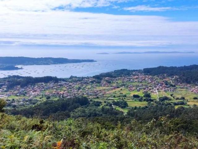 2 Dormitorio Apartamentos Vigo Vigo 104438273