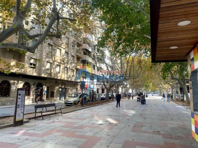 2 Dormitorio Escritorios Oliva Valencia 96374779