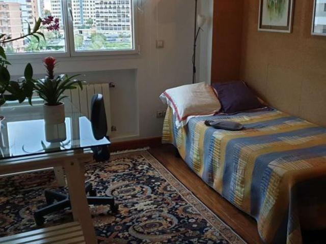 2 Dormitorio Shared Living/Roommate Alicante Alicante 101671144