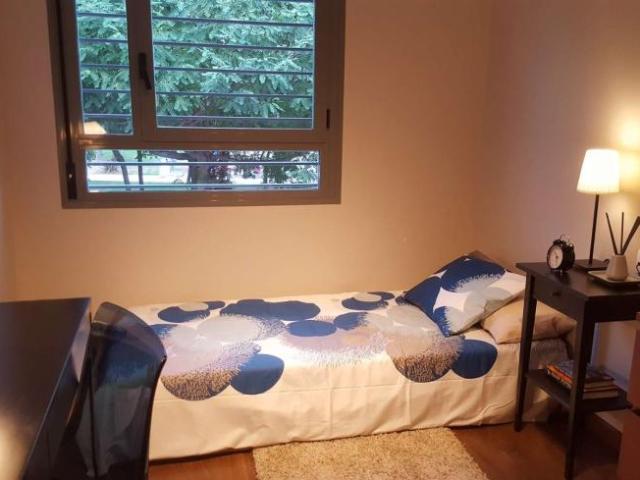 2 Dormitorio Shared Living/Roommate Alicante Alicante 101731699