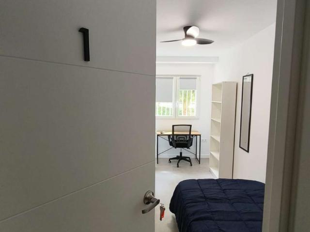 2 Dormitorio Shared Living/Roommate Granada Granada 102021845