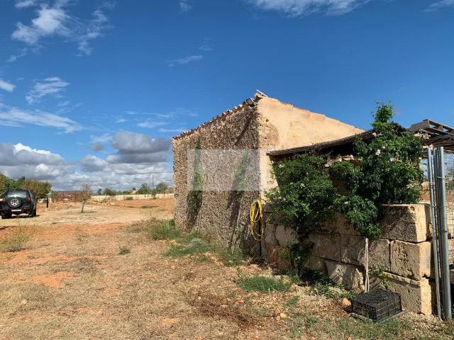 2 Dormitorio Propriedades Rurais Sencelles Islas Baleares 87299264