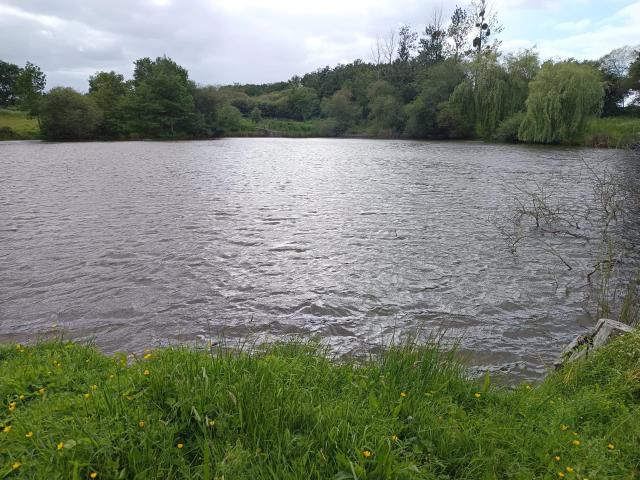 2 ETANGS AU MILIEU DE LA VERDURE