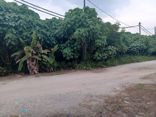 2 Ekar Tanah Pertanian Kg Gumut Tambahan, Kalumpang