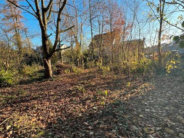 2 Familienhaus auf XLL Grundstück, mit Einliegerwohnung