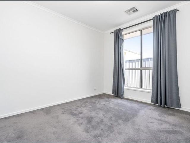 Stylish and Secure Meets Modern Magill Living!