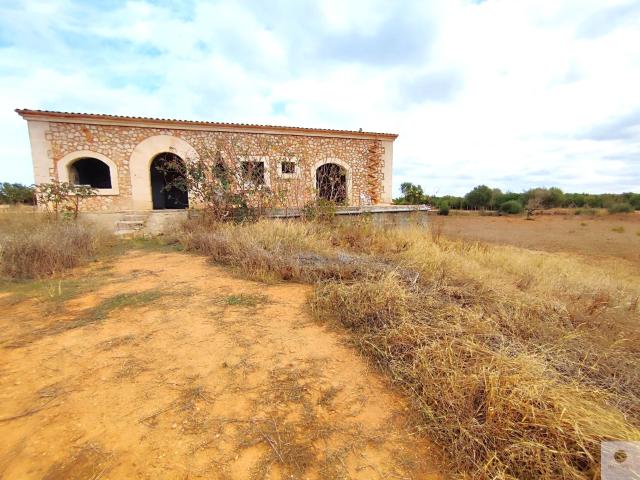 2 FINCAS CON PROYECTO Y LICENCIA EN CAMPOS, MALLORCA