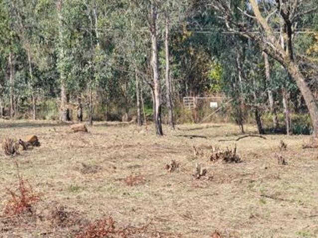 2 ha Land available in Muldersdrift