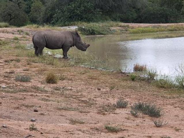 2 ha Land available in Moditlo Nature Reserve