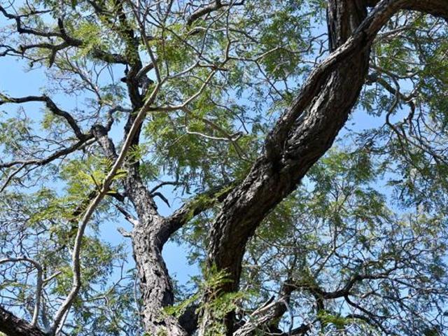 2 ha Land available in Moditlo Nature Reserve
