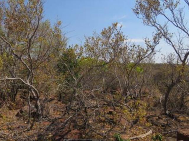 2 ha Land available in Modimole Nylstroom
