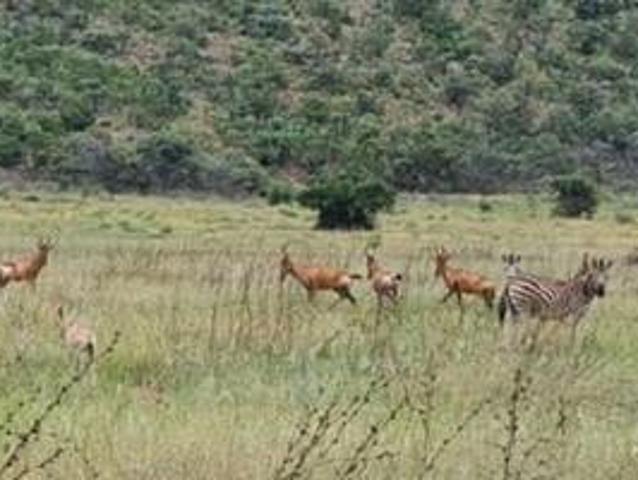 2 ha Land available in Modimolle Nylstroom